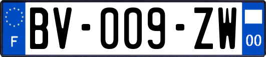 BV-009-ZW