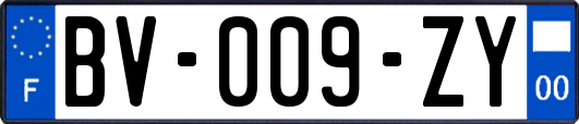 BV-009-ZY