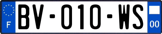 BV-010-WS