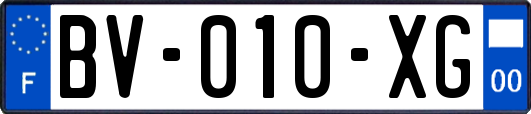 BV-010-XG