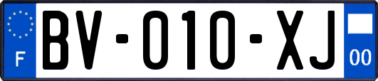 BV-010-XJ
