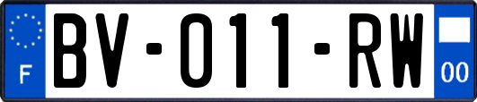 BV-011-RW