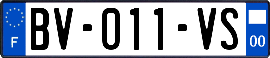 BV-011-VS