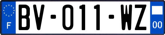 BV-011-WZ