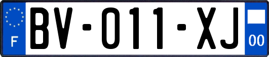 BV-011-XJ