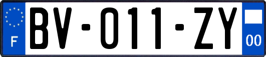 BV-011-ZY