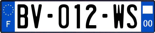 BV-012-WS