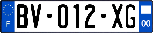 BV-012-XG