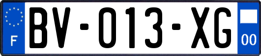 BV-013-XG