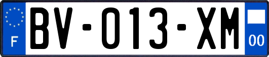 BV-013-XM