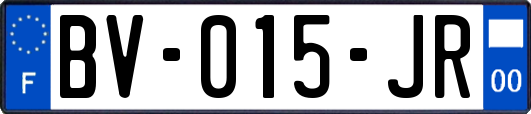 BV-015-JR