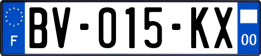 BV-015-KX