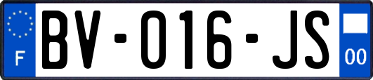 BV-016-JS