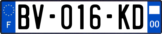 BV-016-KD