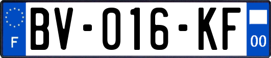 BV-016-KF