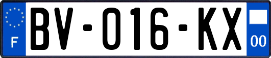 BV-016-KX
