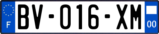 BV-016-XM
