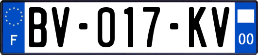 BV-017-KV