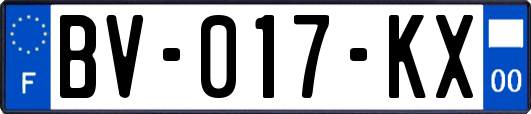 BV-017-KX