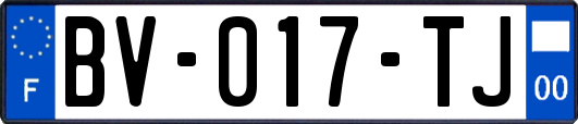 BV-017-TJ