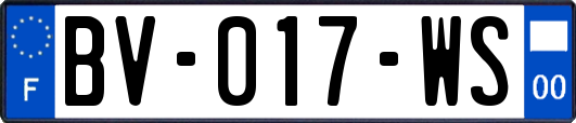 BV-017-WS