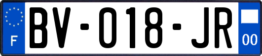 BV-018-JR