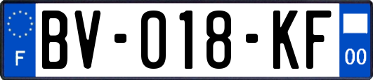 BV-018-KF