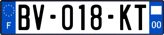 BV-018-KT