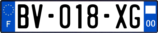 BV-018-XG