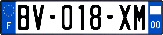 BV-018-XM