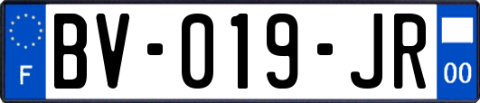 BV-019-JR