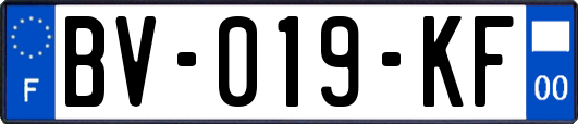 BV-019-KF