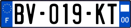 BV-019-KT