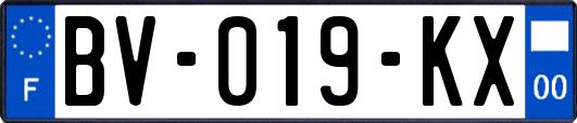 BV-019-KX