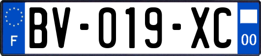 BV-019-XC