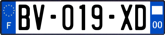BV-019-XD