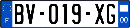 BV-019-XG