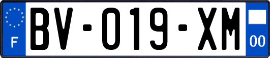 BV-019-XM