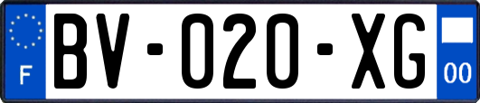 BV-020-XG