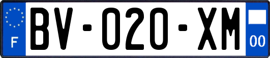 BV-020-XM