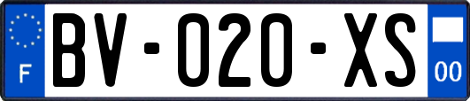 BV-020-XS