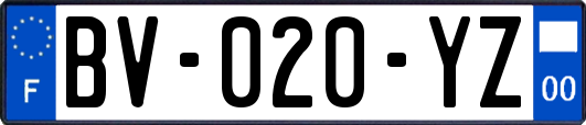 BV-020-YZ