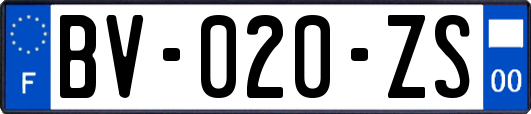 BV-020-ZS