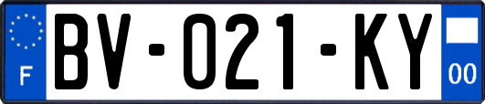 BV-021-KY