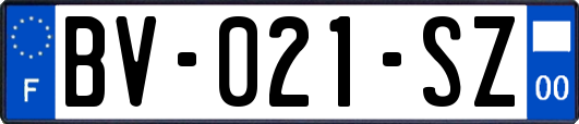 BV-021-SZ