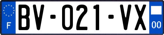 BV-021-VX