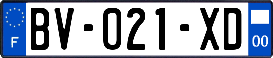 BV-021-XD