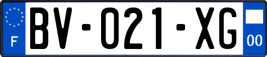 BV-021-XG