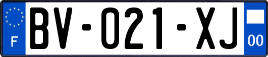 BV-021-XJ