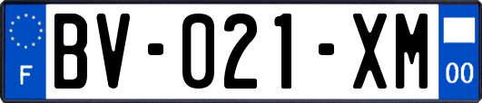 BV-021-XM